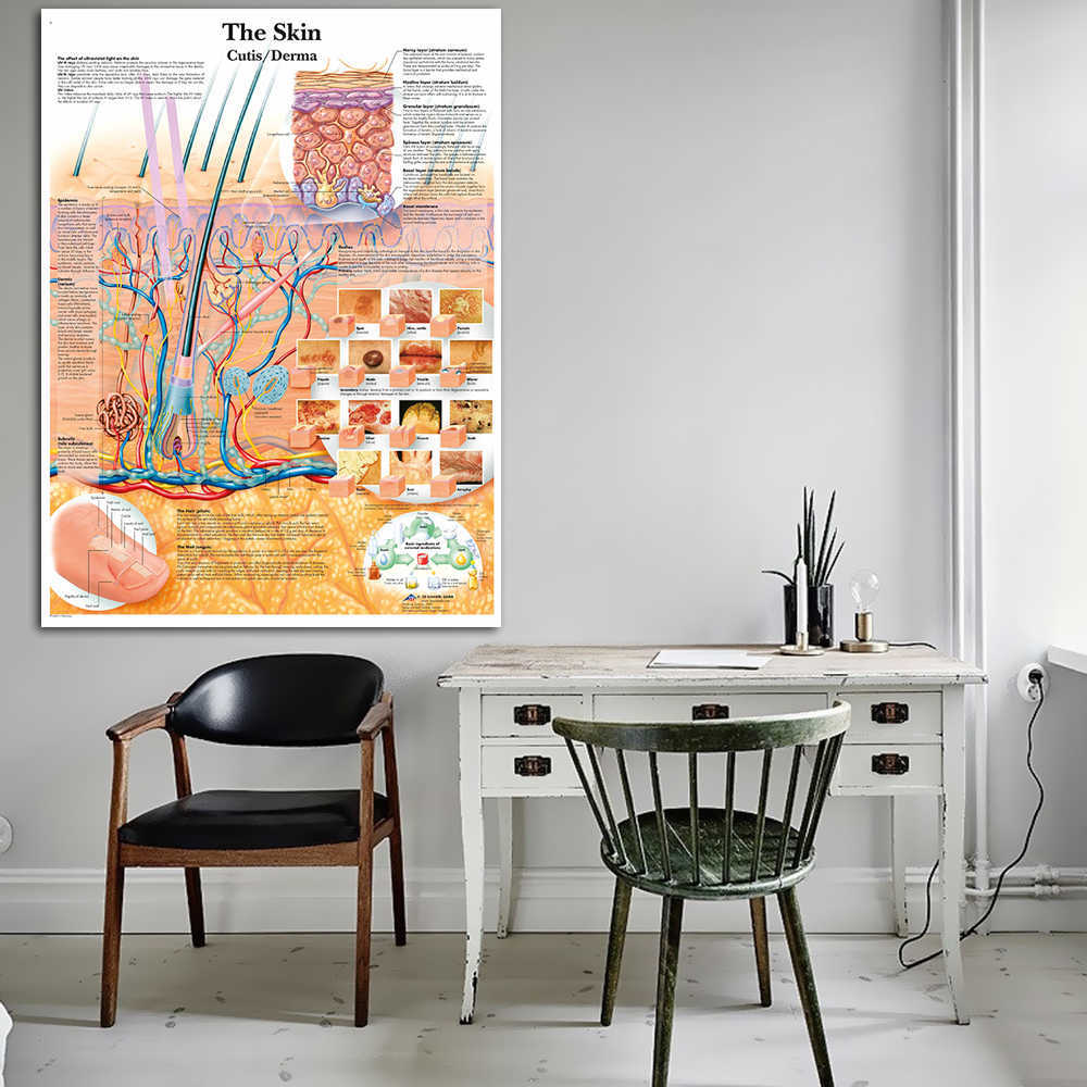 WANGART Anatomy Dissection Skin Anatomical Charts Posters Laminado Canvas Print Wall Pictures for Medical Education Home Decor L230704