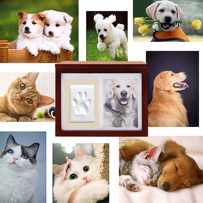 Urne cani ceneri Scatola dei ricordi commemorativa animali domestici con cornice foto e kit impronte di zampa Cofanetto cinerario animali domestici in legno di pino premium