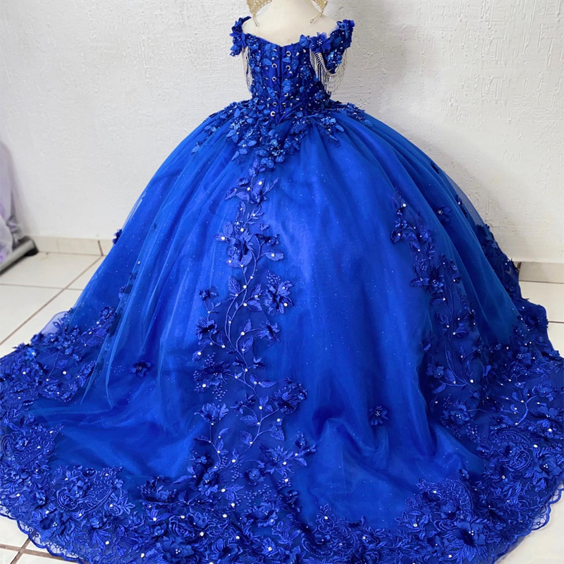 Blue Flower Girls Dress Off Shoulder Princess Ball Gown Applique Crystals Beads 3DFlower First Communion Photoshoot