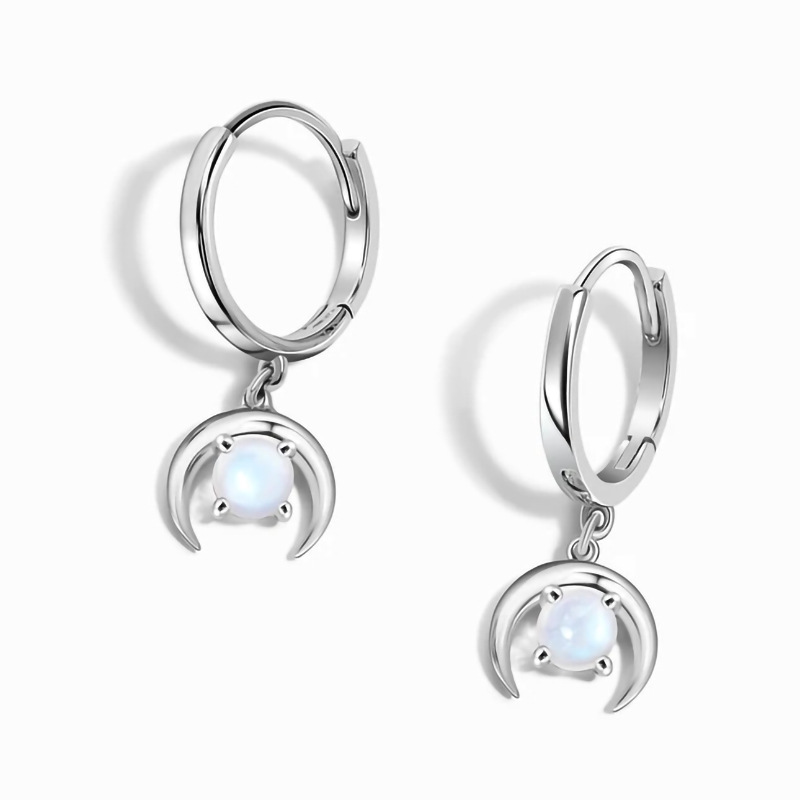 Japan and South Korea's new sterling silver S925 Moonlight stone pendant earrings Women's small group light luxury exquisiteears