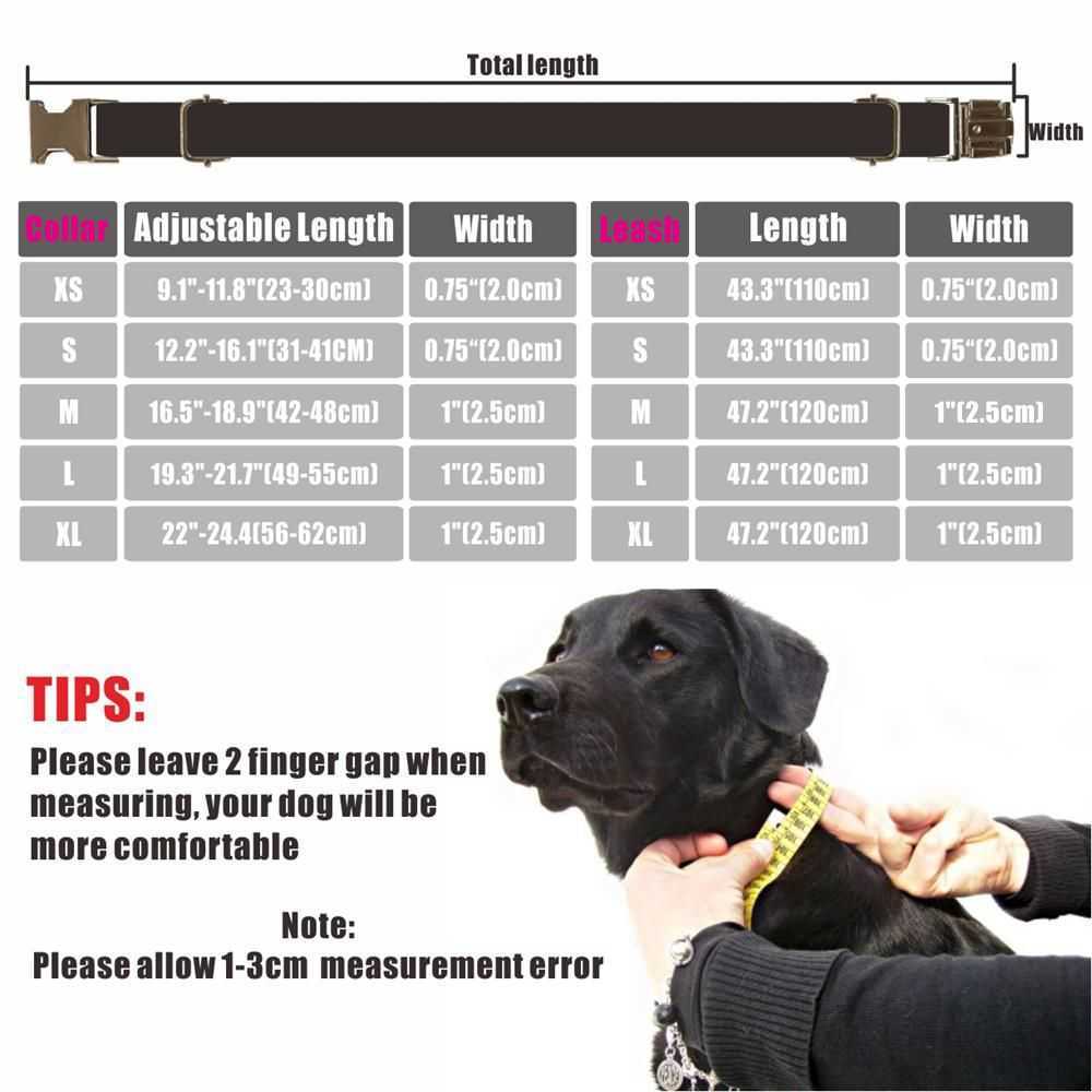 Personlig hundkrage Anpassade husdjurskrage Gratis gravering ID -typ Tagga PET Tillbehör Multi Velvet Puppy Collar Leash L230620