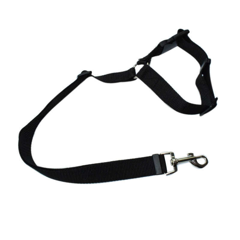 Solide deux-en-un pour animaux de compagnie ceinture de sécurité laisse laisse siège arrière ceinture de sécurité harnais réglable pour chaton chiens collier accessoires pour animaux de compagnie L230620