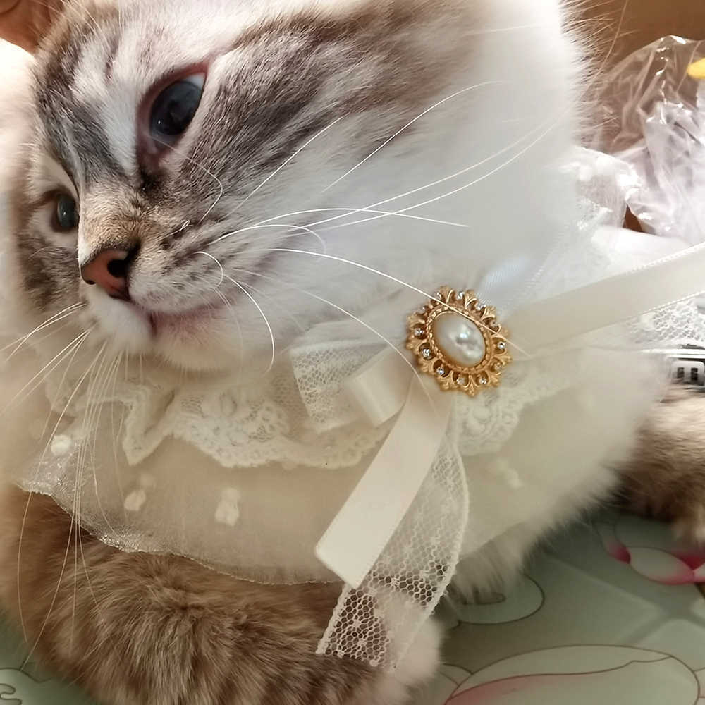 Spetshund bandana tryckt mjuk krage klänning pet halsduk levererar katt halsduk blommig band för chihuahua valp kattunge koppel l230620