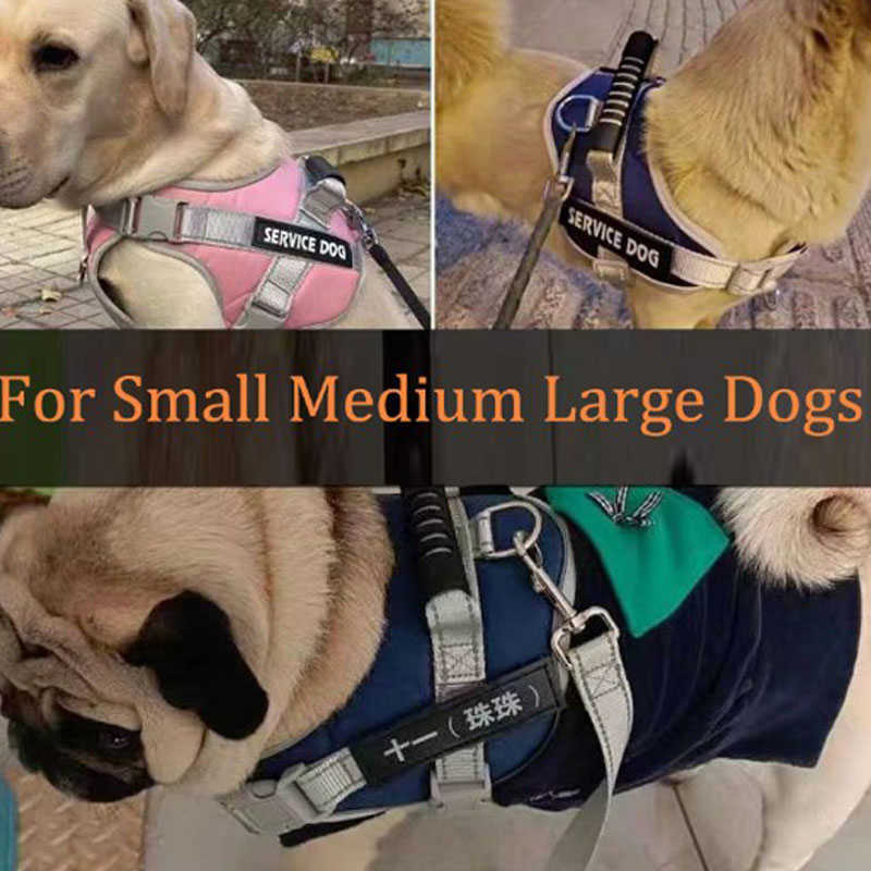 Imbracatura cani di grandi dimensioni Imbracatura cani regolabile in nylon Imbracatura pettorina Imbracatura guinzaglio cani di grossa taglia Accessori addestramento di cani all'aperto L230620