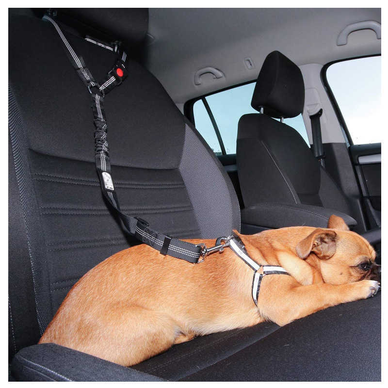 Solid Anti-Shock Two-in-One Dog Harness Leash Pet Car Seat Belt med Clip Backseat Safety Belt Kitten Krage Pet Accessories L230620