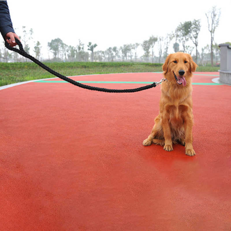 Nylon-Hundegeschirr, Leine für mittelgroße und große Hunde, führt Haustiertraining, Laufen, Gehen, Sicherheit, Bergsteigen, Hundeleinen, Seile, Versorgung L230620