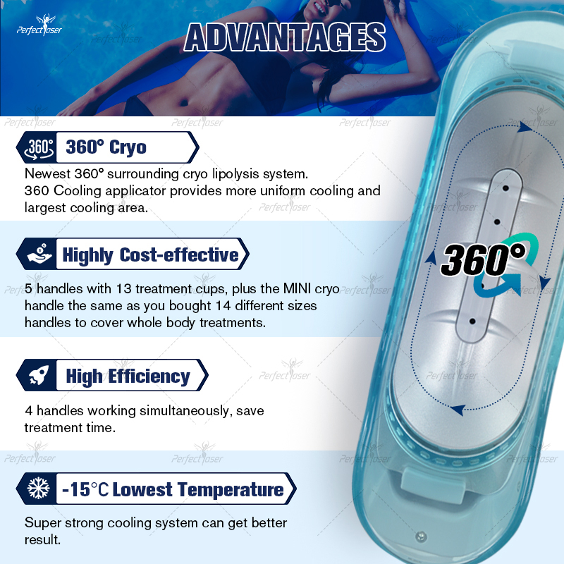 Cryo Cryolipolyse Fat Freeze Machine Corps d'élimination de la cellulite Amincissant le traitement du double menton Système de perte de poids sous vide Amincissant la machine