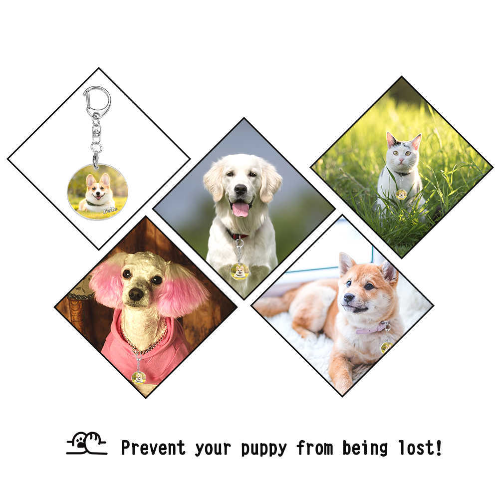 Benutzerdefinierte Acryl Schlüsselanhänger Katze Hund ID Charme Druck Haustier Foto Haustier Souvenir Geburtstagsgeschenk Name Schlüsselanhänger personalisierte Hund Katze ID Tags L230620