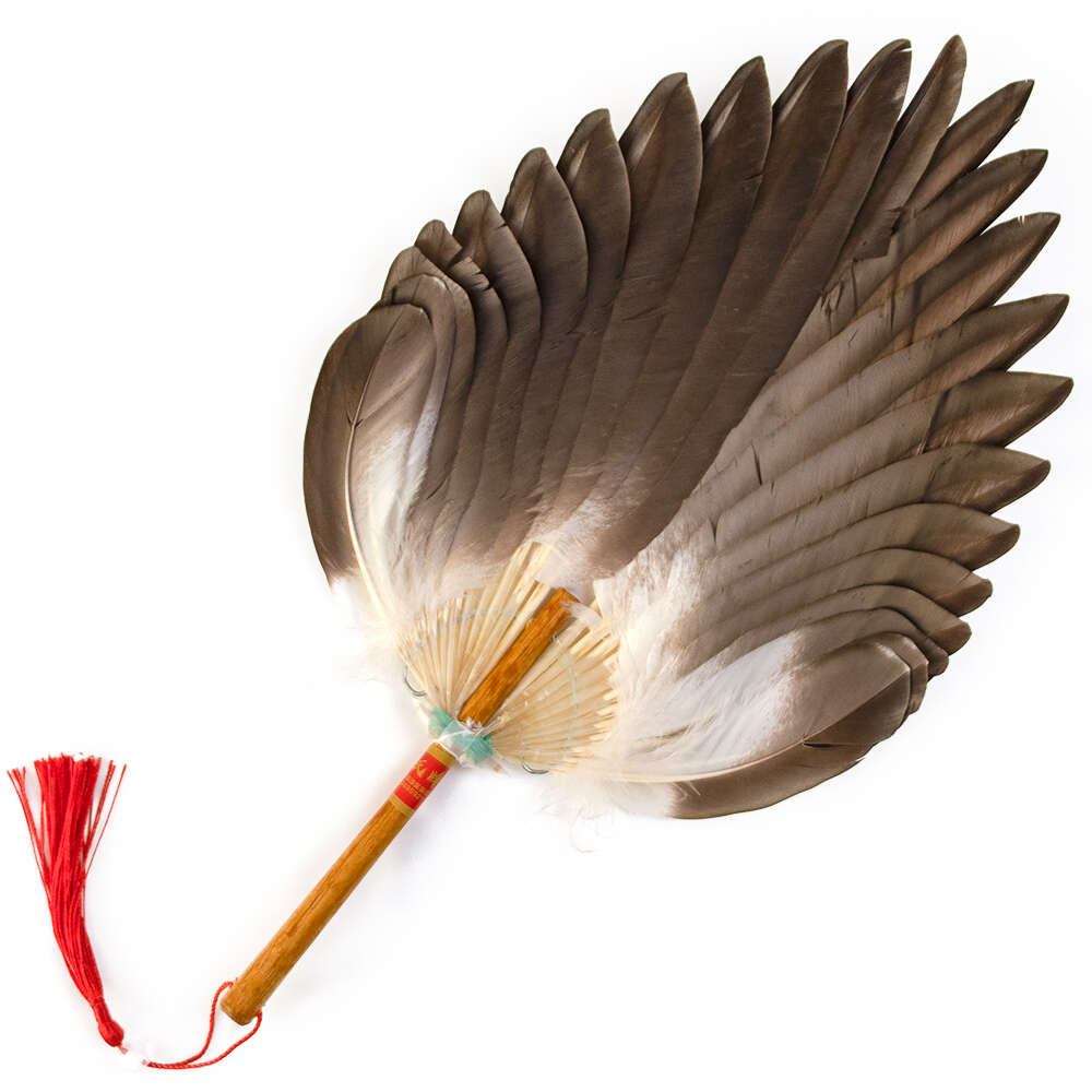 New Style Natural Duck Ventilador Hand Feather Dance Fan Abanicos Para Boda Eventail A Main Photographic Prop