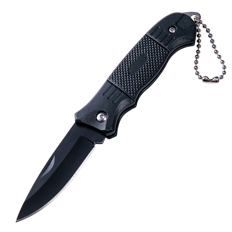 Small Folding Knife Portable Camping Knife Multi function Stainless Steel Pocket Paring Knife EDC Tool MINI Cutter Black Blades Fruit Knifes with Keyring