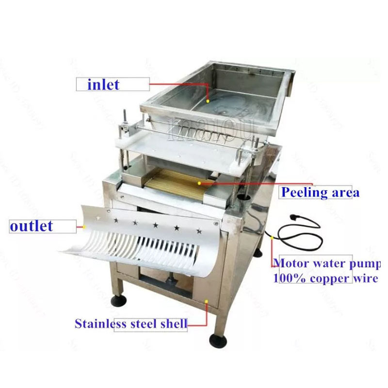 Machine automatique de décortiqueur d'oeufs d'oiseau d'acier inoxydable de décortiqueur d'oeufs de caille