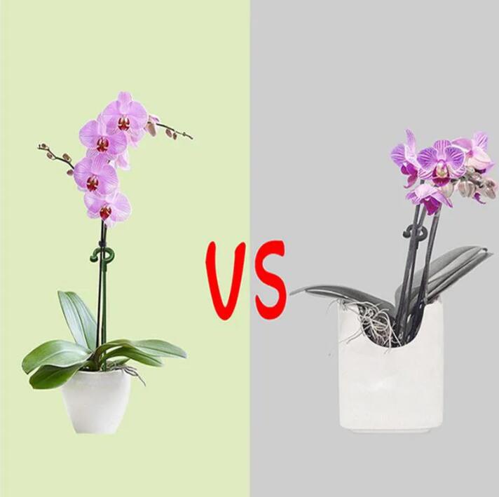 Garden Supplies Potted Flower Shape Support Rod Fixed Anti-lodging Leaf Guard Flower Stand Bracket Plant Potted