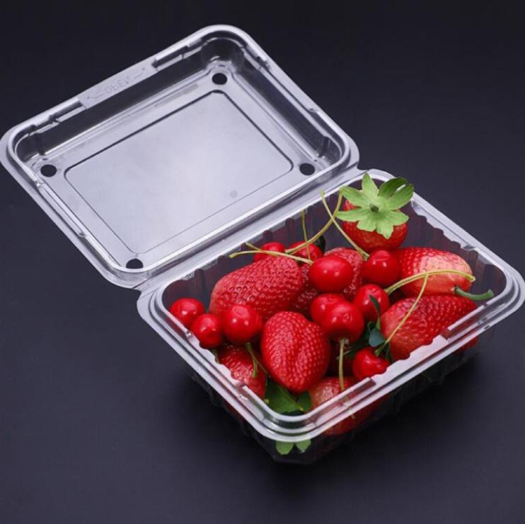 500G Frutas de frutas e vegetais Caixa de morango frutas transparente Blister Pacote de frutas Caixa de plástico SN5200