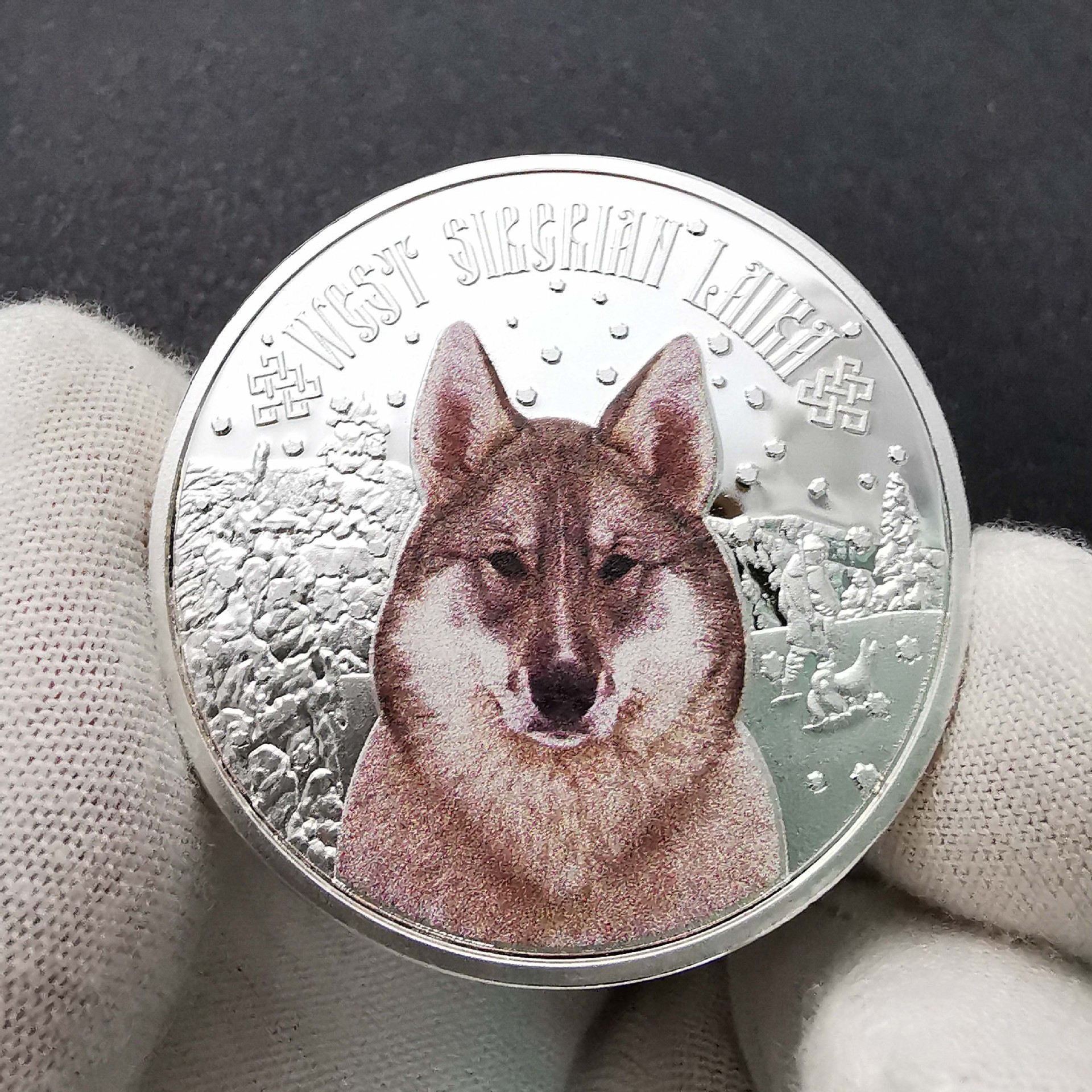 Arts and Crafts Siberian Leica Dog Sled Dog Painted Silver Coin