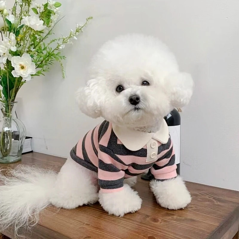 サマードッグポロシャツ子犬服Bichon Frize Chihuahua Striped Dog Seater Small and Mediumsize Dog Cooling Vest 231109