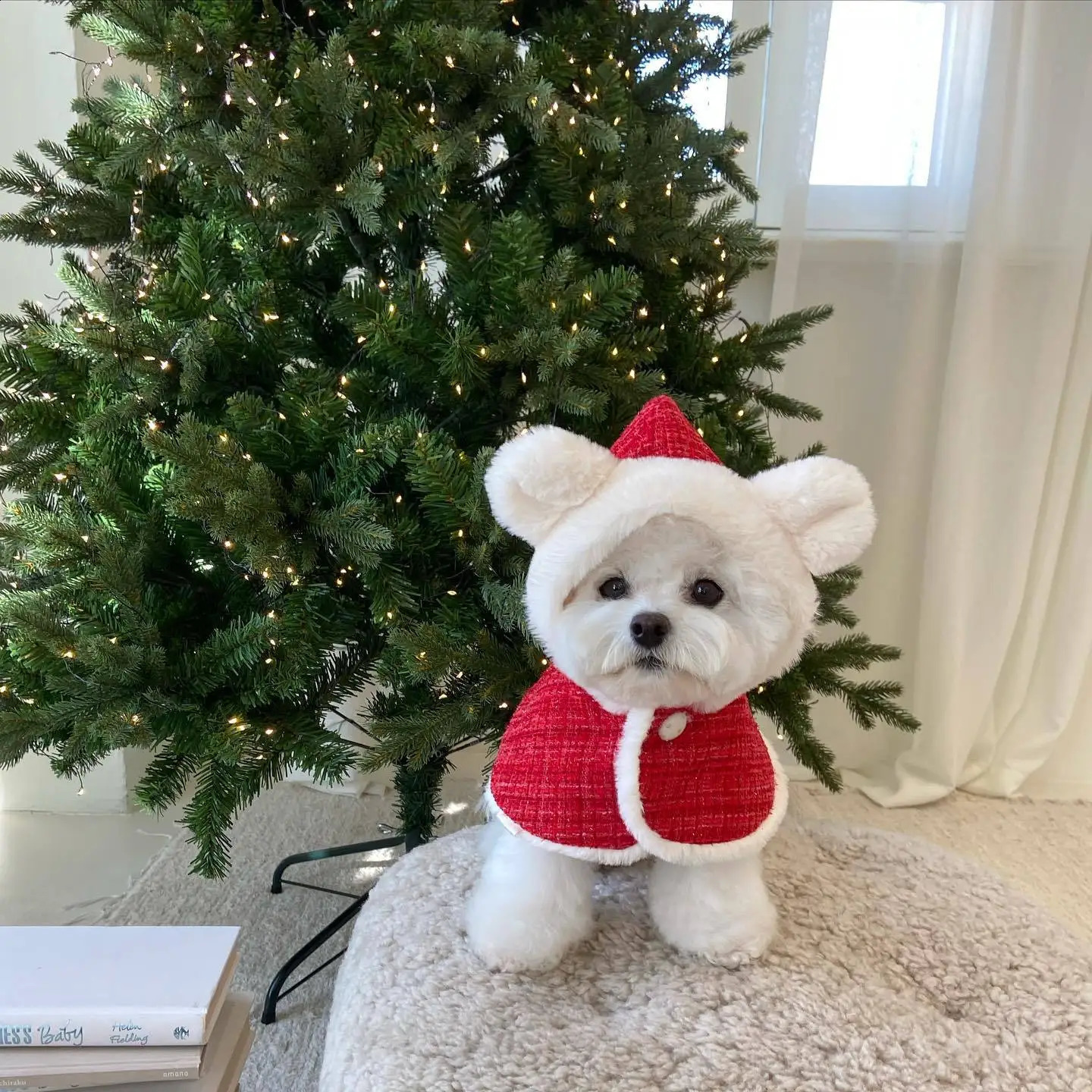 犬のアパレル猫コスチュームサンタコスプレ面白い猫/犬のペットクリスマスケープドレスアップレッドスカーフキャップマントポップポップ装飾ペット服231110