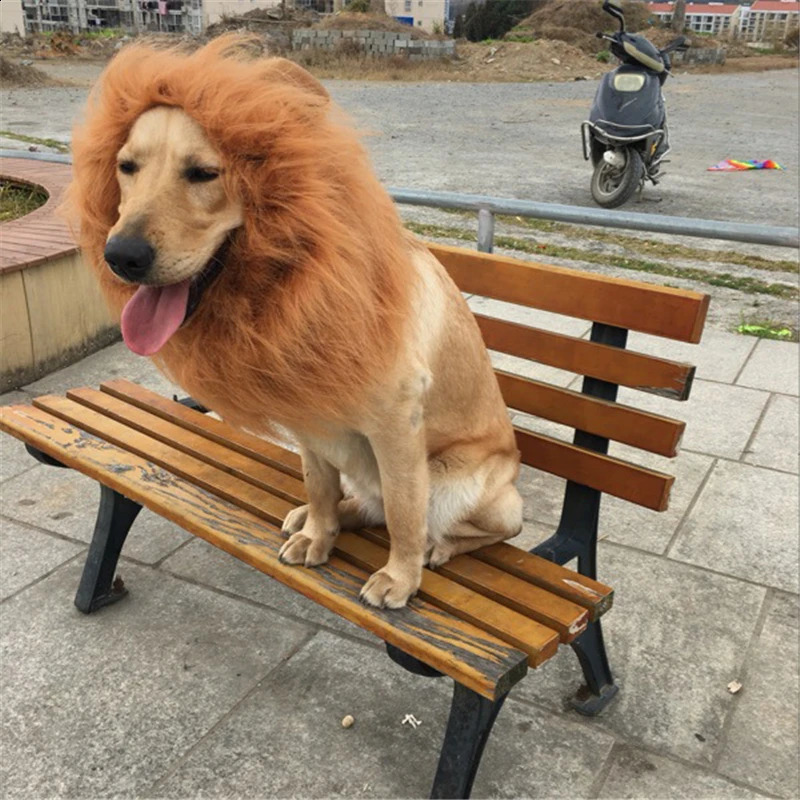 Vêtements pour chiens Costume de chapeau de grand chien drôle Costume de perruque de crinière de lion vêtements pour chien Noël Halloween déguisement pour animaux de compagnie avec ou sans oreilles Costume 231109