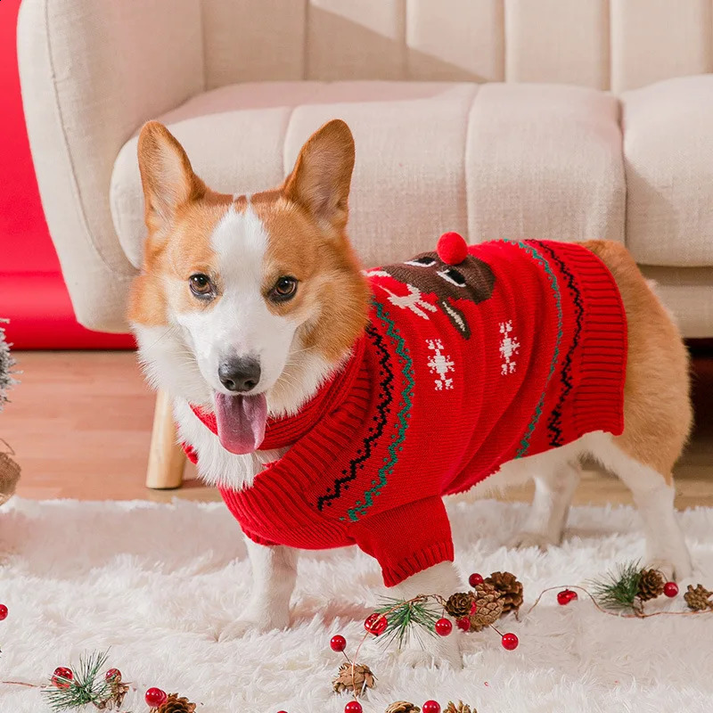 Abbigliamento cani gallese Corgi Cane vestiti cani maglione cani cani natalizi pet cappotto pet outfit gatto chihuahua cucciolo abbigliamento di Natale costume da cane s xxs 231110