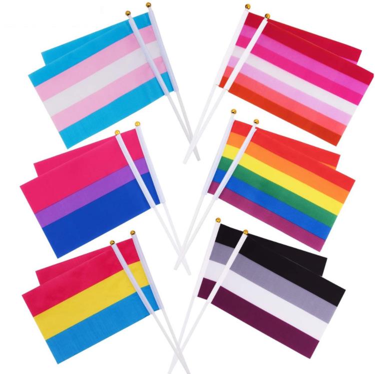 Rainbow Pride Flag Small Mini Hand Håller Banner Stick Gay LGBT Party Decorations Supplies For Parades Festival SN749