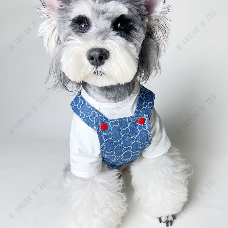 Designer Pet Dress Abbigliamento cani Denim Cani Skrit Lettera completa Animali domestici Magliette Outdoor Bichon Bulldog Abbigliamento cani PS1907