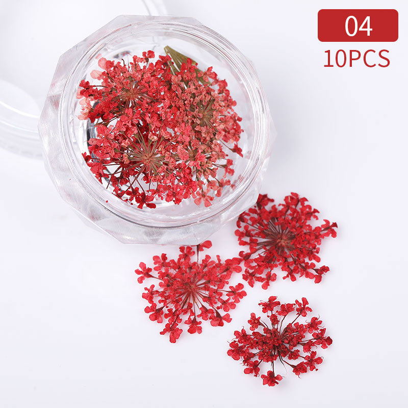 3D Dried Flower Nails Art Decorations Natural Floral Nail Charms Jewelry Set Nail Supplies For Professionals Accessories