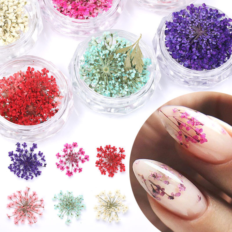 3D Dried Flower Nails Art Decorations Natural Floral Nail Charms Jewelry Set Nail Supplies For Professionals Accessories