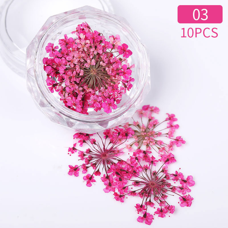 3D Dried Flower Nails Art Decorations Natural Floral Nail Charms Jewelry Set Nail Supplies For Professionals Accessories