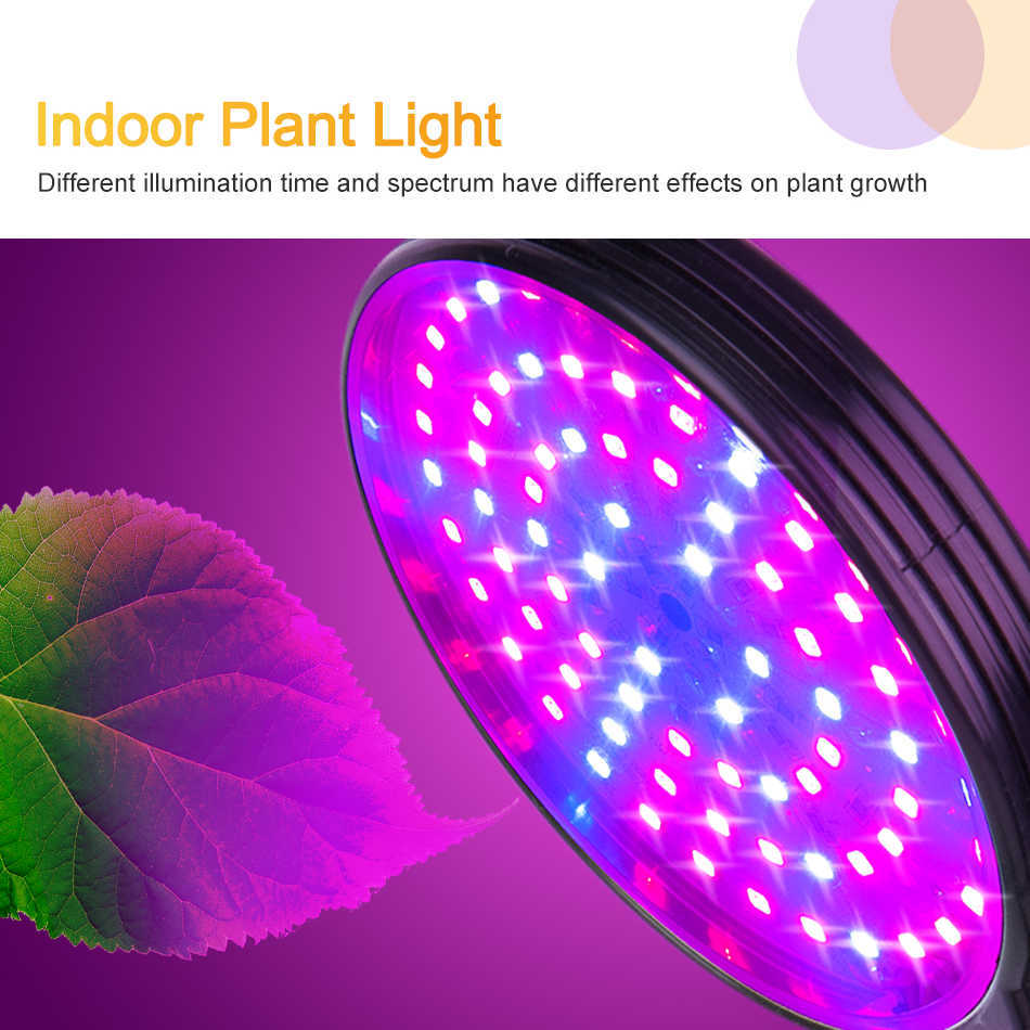 Grow Lights USB Powered Full Spectrum LED Grow Light with Timer Control Desktop Clip Phyto Lamp för inomhusodling Plant Blommaplantor P230413