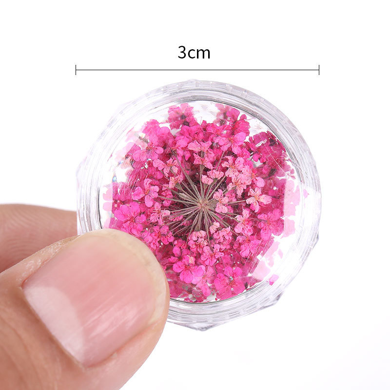 3D Dried Flower Nails Art Decorations Natural Floral Nail Charms Jewelry Set Nail Supplies For Professionals Accessories