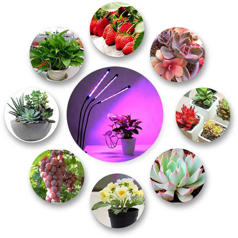 Grow Lights 5V 10W 40W LED Grow Light USB Phyto Lamp Desktop Clip Plants Indoor Seedlings Flower Grow Tent Box Led Full Spectrum Phyto Lamp P230413