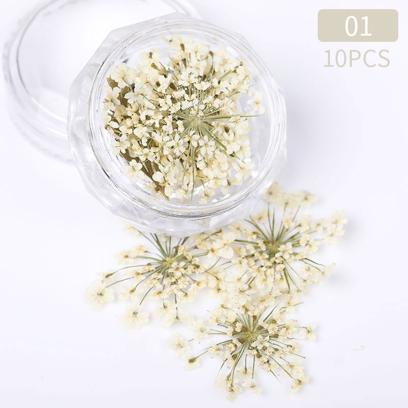 3D Dried Flower Nails Art Decorations Natural Floral Nail Charms Jewelry Set Nail Supplies For Professionals Accessories