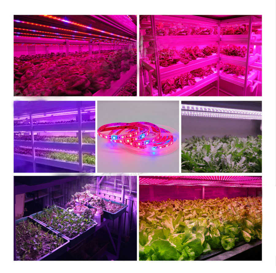 Grow Lights LED Plant Grow Strip lights Full Spectrum Flower phyto lamp Waterproof for Greenhouse Hydroponic Growth Light +Power adapter P230413