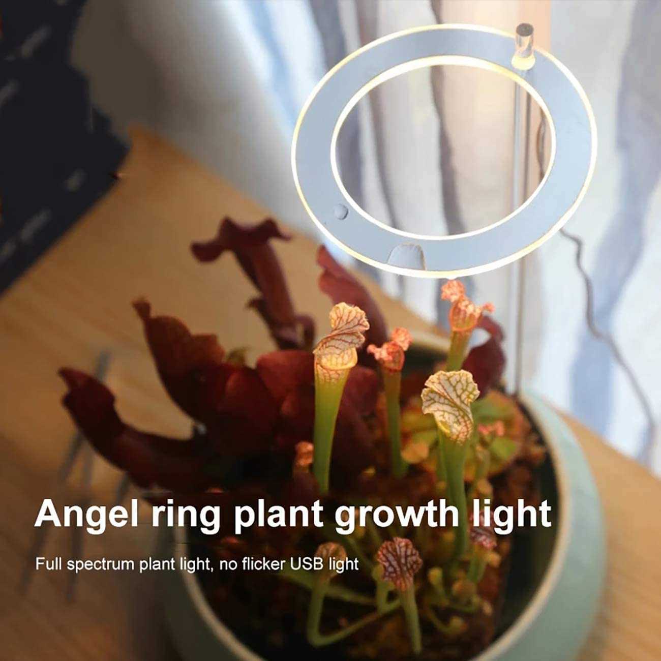 Grow Lights Angel Ring Light 5V USB Phytolamp piante a spettro completo Led Mini Grow Lamp piantine da interno Home Flower Succulet P230413