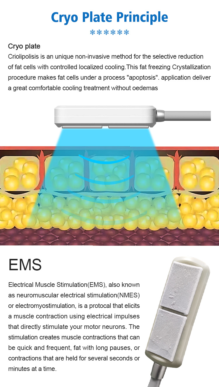 Red Green Laser Lipo Machine 10D 635NM 532NM Body Shaping Celluite Removal Cryo pads with EMS Muscle Stimulate Fat Reduction Lipolaser Equipment