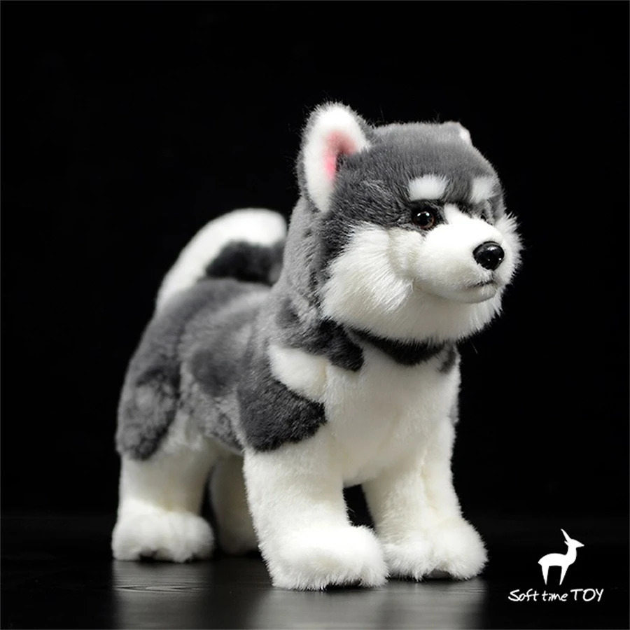 Pluche poppen Alaskan Malamute Anime Schattig knuffelhond Knuffels Levensechte dieren Simulatie Gevulde pop Kawai Speelgoedcadeaus Kinderen 231114