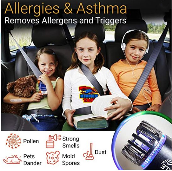 Phone Chargers Car Air Purifier Ionizer - 12V Plug-in Ionic Anti-Microbial Car Deodorizer with Dual USB Charger - Smoke Smell, Pet and Food Odors, Viruses Eliminator for Car