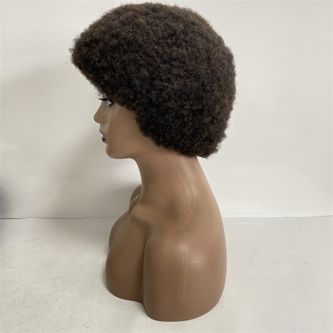 6 polegadas Cabelo humano virgem brasileiro 150% Raiz de 4 mm Afro Afro Full Lace Wig para Mulher Negra