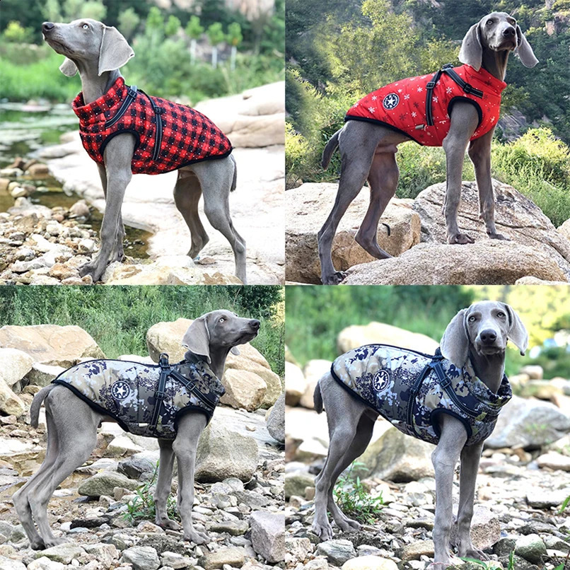 Abbigliamento cani Abbigliamento cuccioli Cappotto invernale Giacca costume riflettente di taglia piccola e media Pet Chihuahua Bulldog francese Pug Abiti 231118