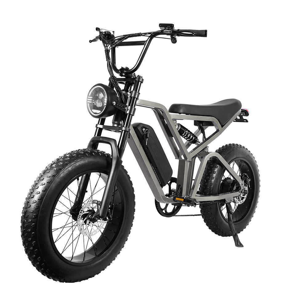 750W MOTOR Electric Bicycle 48V 15Ah Electric Bike Lithium Battery 20 tum 4,0 Fat Däck Retro E-Bike Beach Snow Bike