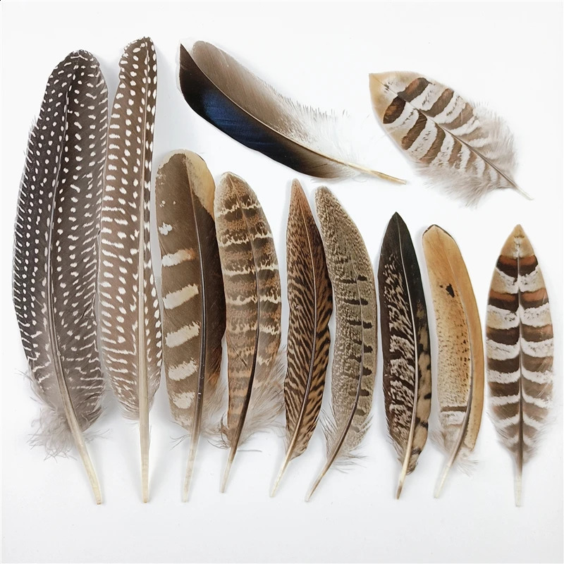 Other Event Party Supplies Wholesale Natural Pheasant Feathers Peacock Feather Eagle Small Plume Handicraft Accessories Jewelry Creation Holiday 231118