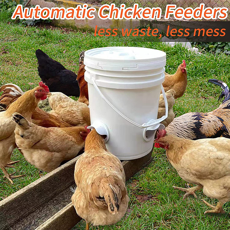 Курица кормушка Hen Home Gardengrough Farm Farm Farm Form Feeder 3 и отверстия для дождевой кормушки для фермерской птицы курятник