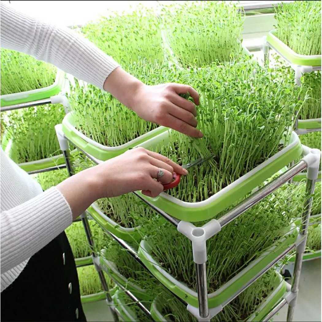 New Microgreens Sprouting Tray Hydroponic / Sprouting Tray For Sprout Horticultural Hydroponic Systems Tray Nursery Potted