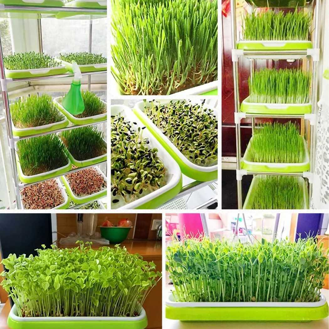 New Microgreens Sprouting Tray Hydroponic / Sprouting Tray For Sprout Horticultural Hydroponic Systems Tray Nursery Potted