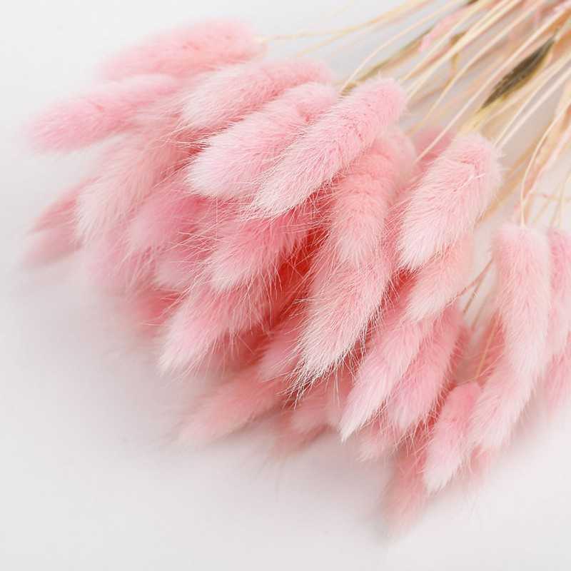 New Colorful Pastoral Rabbit Tail Grass Bunny Tails Dried Flowers Artificial Plant Bouquet Plant Stem Material Home Decortaion