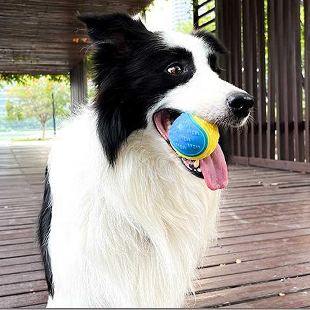 Yeni ısırık dirençli köpek oyuncak lastik top sığır eti aromalı elastik top, köpeğin şeyleri yok etmesini önlemek için köpek eğitimi arzı