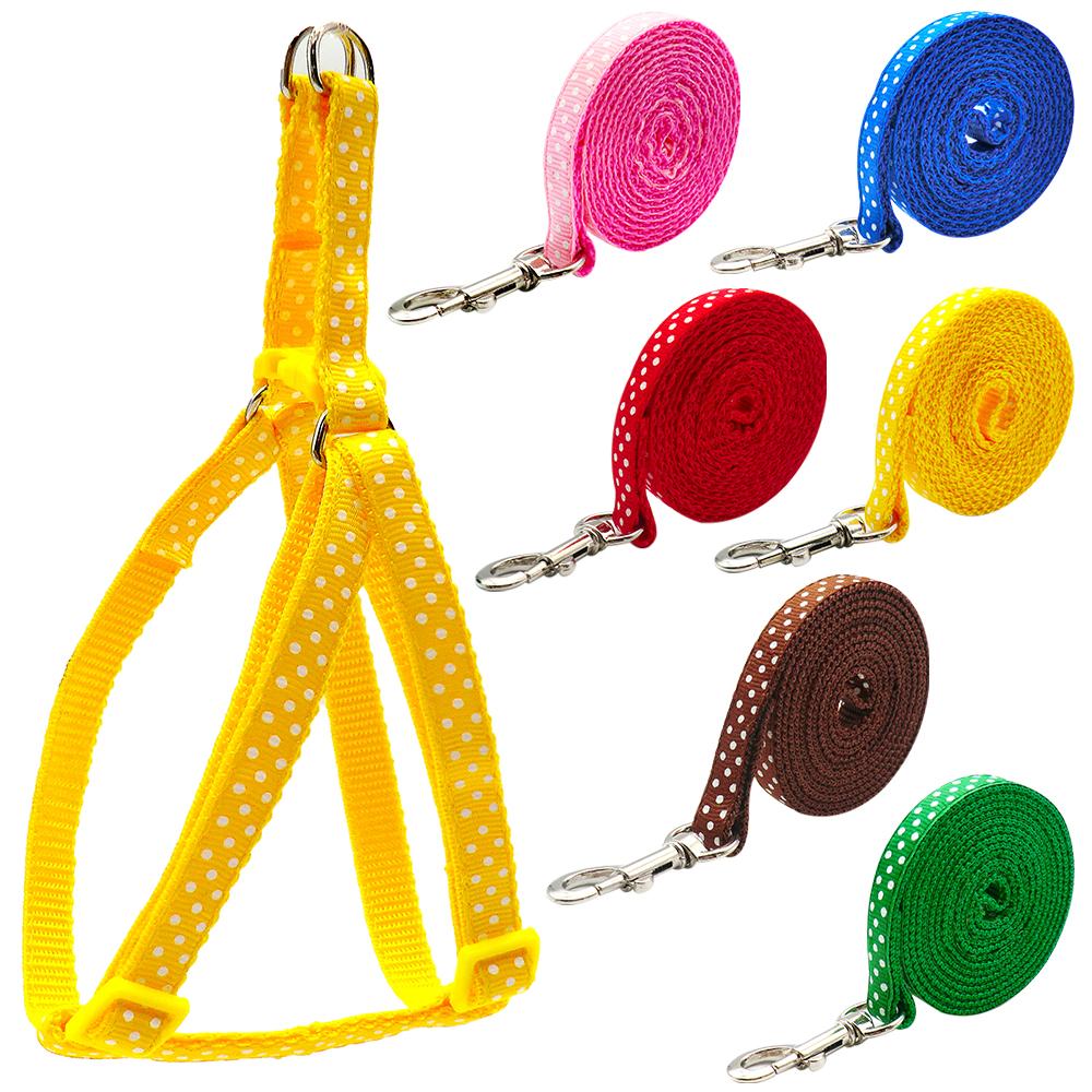 Imbracature 24 pz/lotto Collare cani e gatti Guinzaglio Collare animali domestici Piombo cuccioli di piccola taglia Outdoor Walking Dots stampa Chihuahua Terier Schnauzer