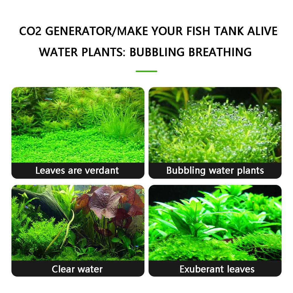 Equipment Aquarium blue ocean version DIYCO2 generator solenoid valve bubble counter Aquatic plants CO2 fish tank CO2 generator equipment