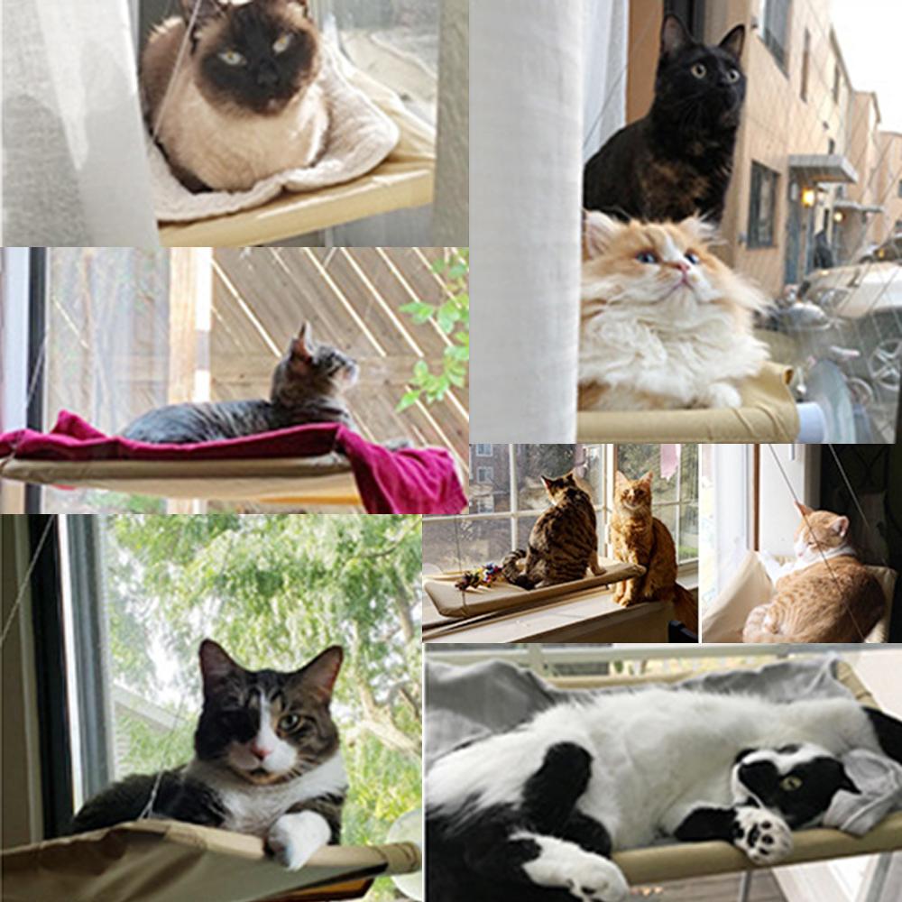 Matten Katzen-Hängebett, bequeme Kätzchen-Hängematte, Sitzstange, Katze, sonniger Fenstersitz, Halterung, Schlaf-Hängematte für Katzen am Fenster