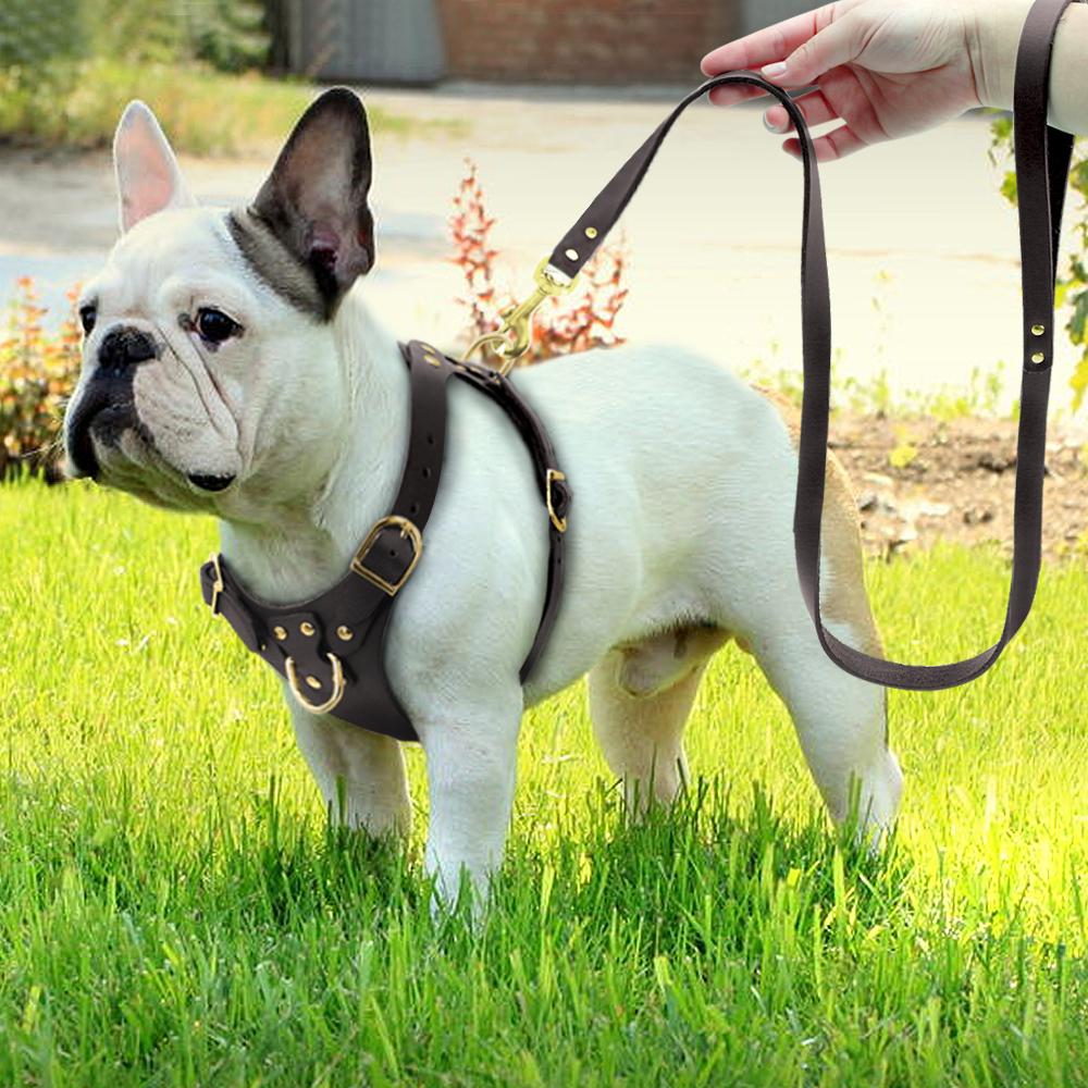 Ensembles de harnais et de laisse pour chien en cuir véritable marron, harnais pour animaux de compagnie, sans traction pour petits et moyens chiens, carlin Chihuahua