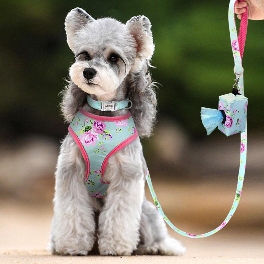 Sets Fashion Printed Nylon Dog Collar Leash Harness Poop Bag Set Personalized Dog Cat Collar Adjustable Pet Harness Vest Pet Supplies